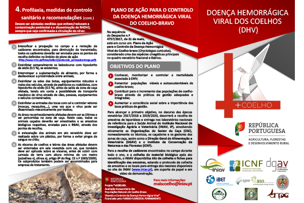 Doença Hemorrágica Viral dos coelhos (DHV) (Projeto + Coelho)