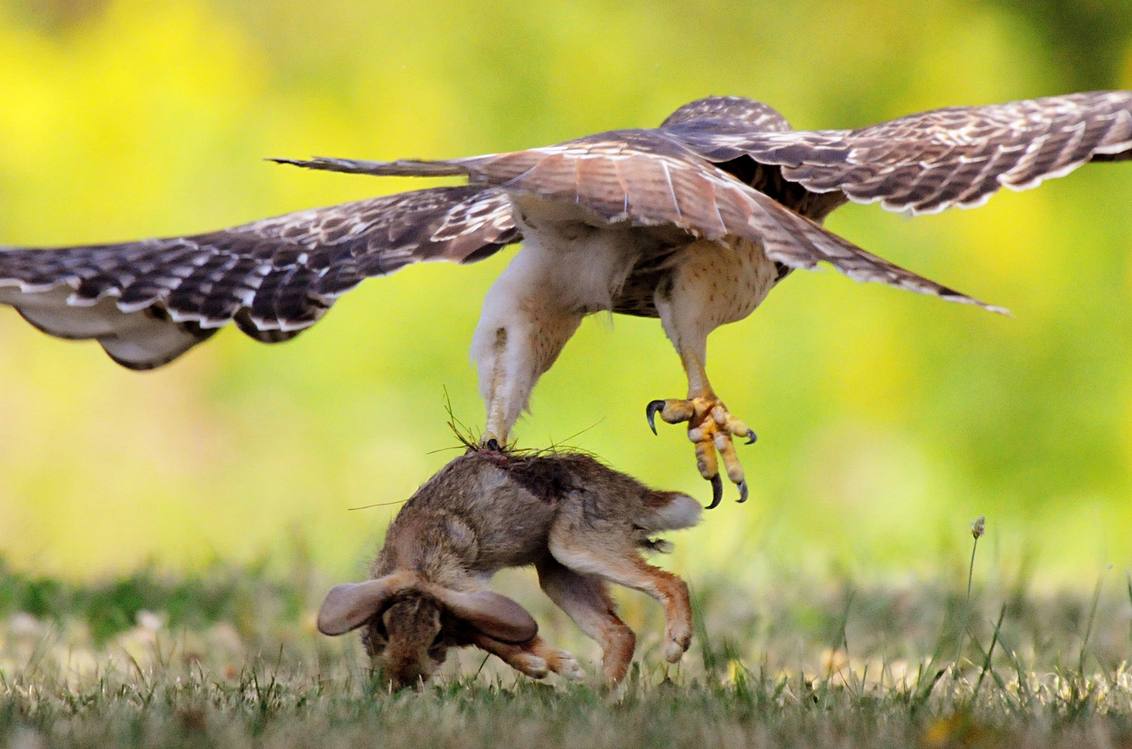PAPEL NOS ECOSSISTEMAS