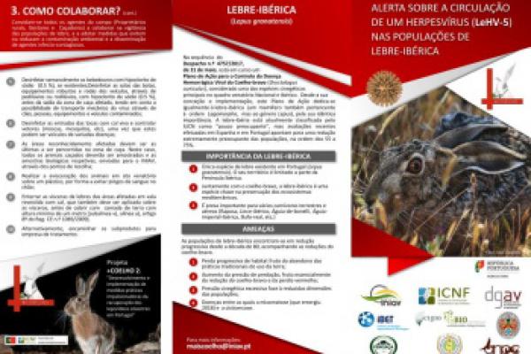 Folheto informativo  sobre a Herpesvirose da Lebre-ibérica: etiologia, lesões, medidas de controlo sanitário e recomendações