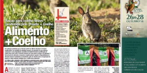 Alimento +Coelho: Ração para coelho-bravo produzida pelo Pro ... Imagem 1