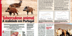 Tuberculose animal. A realidade em Portugal Imagem 1
